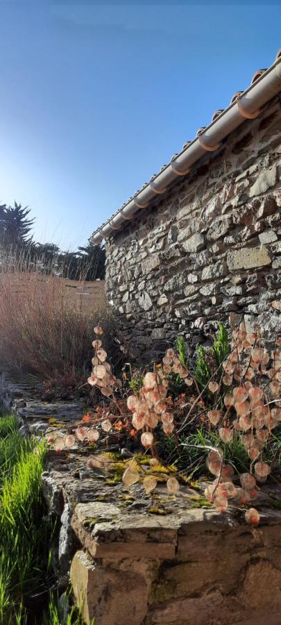 Maison De Village 4 A 6 Pers A 5 Min De La Mer Brétignolles-sur-Mer Zewnętrze zdjęcie